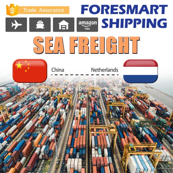 Cheap Shenzhen To Netherlands FCL Ocean Freight Container Shipping for sale