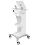 DPL Newest Radio Frequency RF Microneedling Beauty Machine/Rf Microneedling
