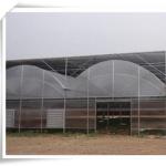 Customized Multi Span Agriculture Greenhouse for Vegetable Optional Irrigation