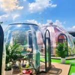 PC Bubble House Outdoor Transparent Spare Room Homestay Hotel Dining Outdoor