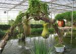 Tomato Planting Ecological Greenhouse Steel Structure Main Frame Long Lifetime