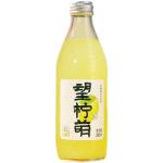 OEM Fruit Taste Carbonated Beverage Bottling Service for 500ml Lemon Juice