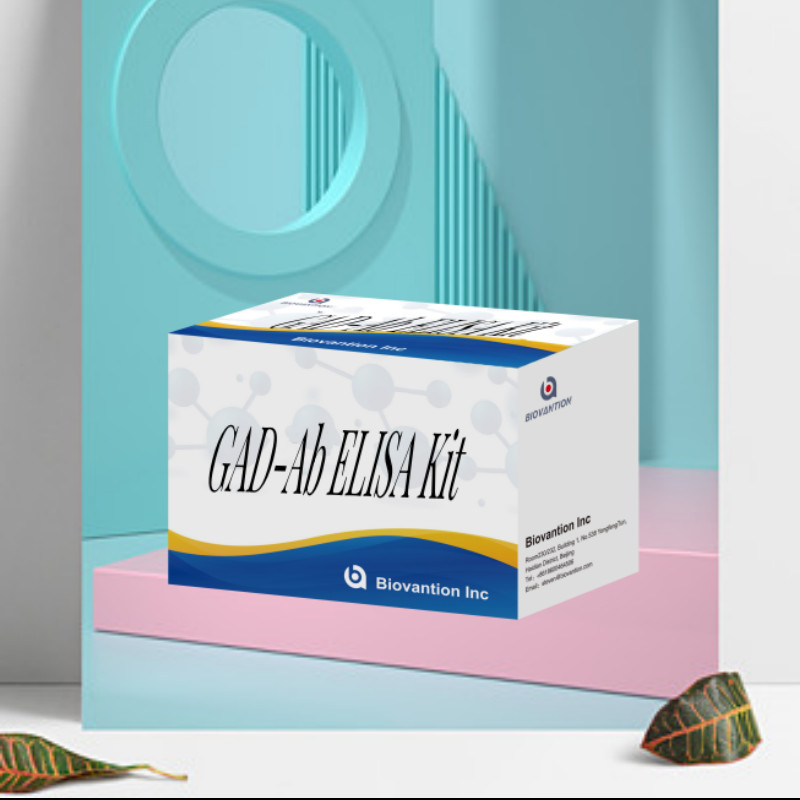 Glutamic Acid Decarboxylase Antibody Medical Diagnosis Enzyme-Linked Immunosorbent Assay Test Kit