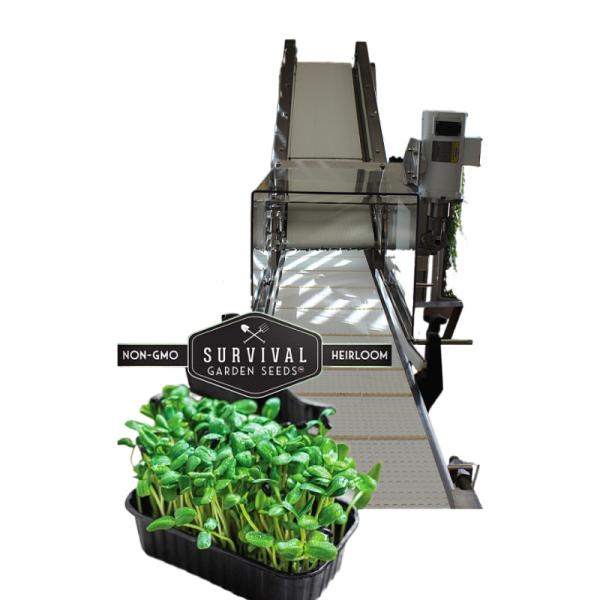 300 KG Capacity Microgreen Tray Harvesting Machine for Top Coating and