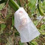 Plastic Zipper 100gsm Spunbond Fruit Protection Mesh Bags