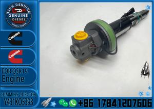 Quality Genuine Fuel Injector Assembly 2867147 2882077 4955524 Y431KO5393 2882078 For Qsk19 Engine wholesale