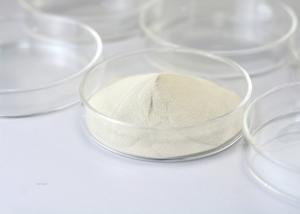 Food Grade Soluble In Water Glucose Oxidase Bakery Enzyme In Food Industry