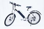 Front Fork Suspension Electric Assist Bicycles Rear Brushless Geared Motor