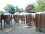 600L Beer Fermentation Tank , Conical Beer Fermenter With Rose Golden Color