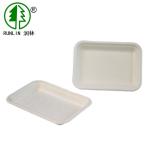 Rectangular Thanksgiving Biodegradable Food Trays Disposable Fruit Container For