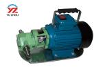 Small Edible Oil Gear Pump , Stainless Steel Rotary Gear Pump For Oil Transfer