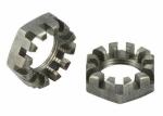 M1.6 M2 M4 M5 18-8 Stainless Steel Slotted and Castle Nut SS304 Plain Polished