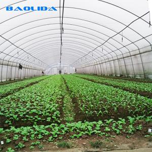 Quality Vegetable Growth Plastic Film Greenhouse All Season Growing Agricultural wholesale