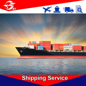 Quality Door To Door DDP Delivery Services Qingdao To Miami Tampa Orlando St. Petersburg wholesale