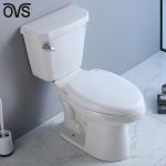Ada Two Piece Toilet Flush 2 Piece Water Closet In Master Bathroom MAP 1000G