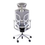 Butterfly Backrest Ergonomic Executive Chair Wintex Mesh Adjustable Lumbar