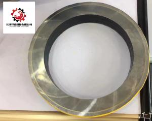 Quality OEM Schwing Concrete Pump Truck Parts SPL1000 Wear Plate wholesale