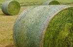 HDPE Well-Knitted White Bale Wrap Net