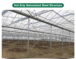 PE Strawberry Insulation Agricultural Greenhouses for Plants Growing and