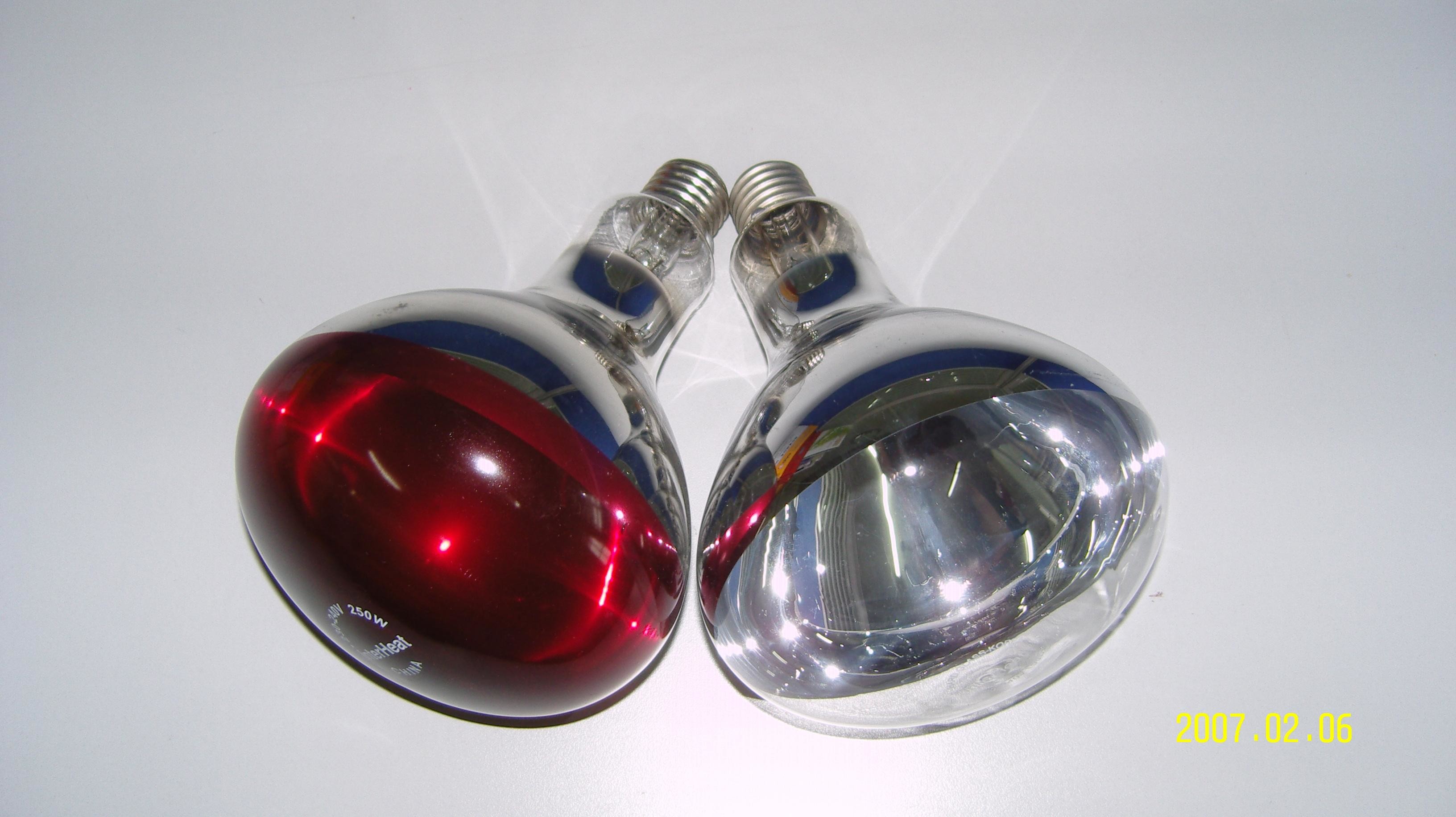 animal use commercial Infrared heat lamps heating lamp in Winter