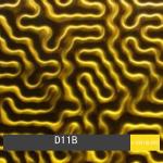 4-12MM Printed Laminated Glass Backsplash 300X300MM