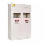 110 Gal Safety Storage Cabinet Laboratory Furniture Gas Cylinder Cabinet