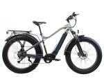 9 Speed Electric Bike 26"*4.0 Fat Tire Ebike Electric Mountain Bike 48V 750W