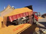 5T Mini Dumper Truck