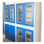 Customizable Acid Storage Cabinet For Chemical Storage Management