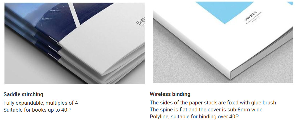 Folded Flyer Brochure Printing Services A3 A4 A5 Advertising CMYK Pantone