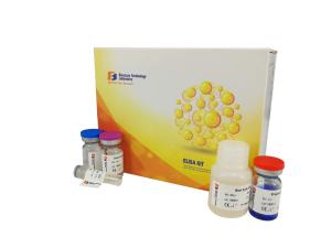 Quality Nitric Oxide Sandwich Elisa Kit High Sensitivity / Precision 96 Wells wholesale