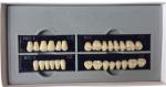 Dentistry Dental Acrylic Resin Teeth A2 A3.5 Dental Acrylic Polymer False Teeth