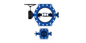 Quality Arch Shape Double Butterfly Valve Drinking Water Standard Two Side Sealing wholesale