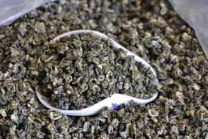 Quality Yunnan green tea biluochun large leaf tea spring tea wholesale