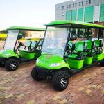 6 Person 60v Golf Cart Road Legal Golf Buggy 1000kg Max Load