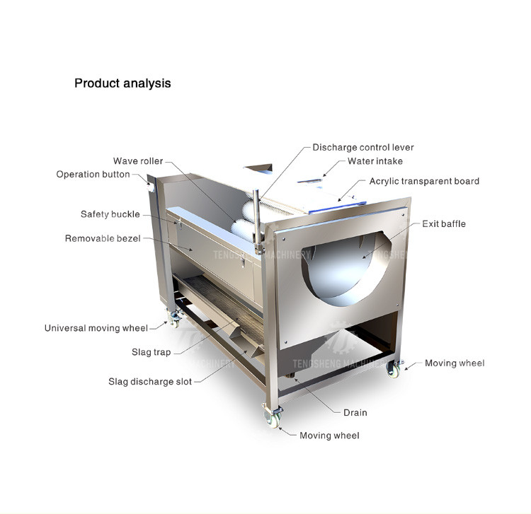 250KG Carrot Brush Cleaning And Peeling Machine Brush Cleaning Machine