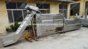 Quality Large Capacity Carrot Washing Machine wholesale