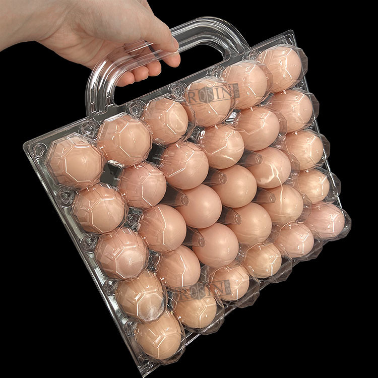 Disposable 30 Holes Plastic Egg Cartons Lightweight Blister With Handle