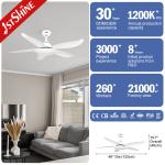 1stshine Ceiling Fan 10 for Motor Easy Clean Black Plastic Blades Remote Control