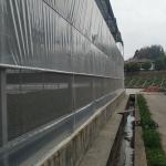 Galvanized Steel Framework Clear PE Film Ventilation System Multi Span