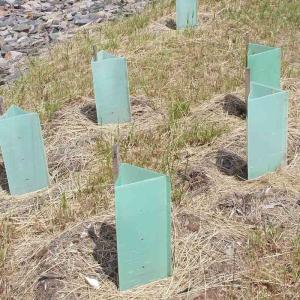 Quality Corruone wholesale high quality PP Plastic corrugated Tree Guard Plastic Tree Protector wholesale