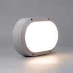 Wall Lamp Oval Shape 20W Damp Proof LED Ceiling Light 1500LM 100-220V CRI 80