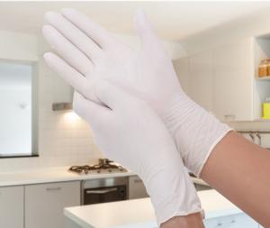 Quality Surgical Non Powdered Latex Gloves Extra Grip 240mm Length White Color wholesale