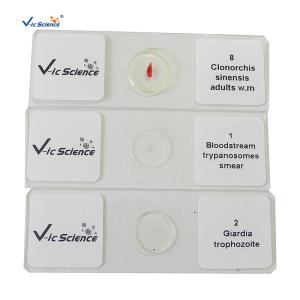 Quality Specimen Medical 50pcs Set Parasite Microscope Slides 1.2mm wholesale