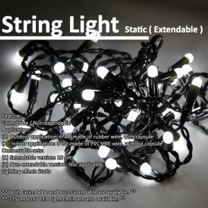 Quality 12V/24V/230V Outdoor / Indoor Christmas Holiday LED String Light With Battery box CE RHOS wholesale