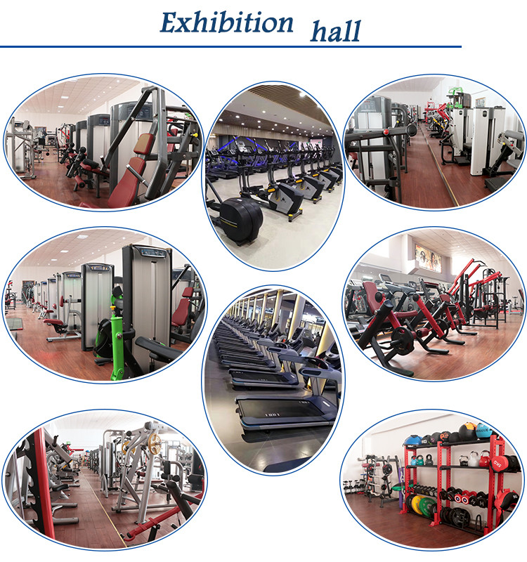 Gym Use Indoor Heavy Duty Equipment Seated Row Strength Training Machine