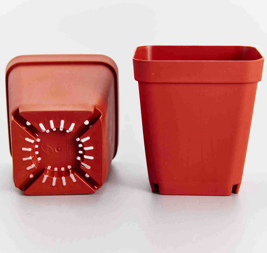 SQUARE More meat small black plastic flower POTS small box
