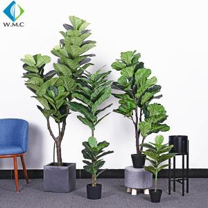 Quality Green Artificial Ficus Plant , Ficus Lyrata Plant For Home Decoration R020002 wholesale