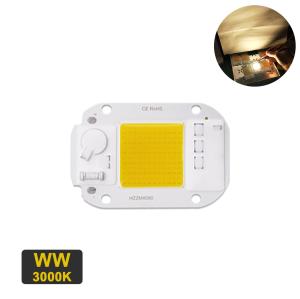 Quality 20W Warm White LED Module wholesale