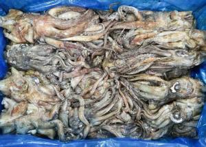 Quality frozen giant squid tentacles open neck chinese ocean vessels BQF dosidicus gigas frozen squid rings wholesale
